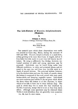 The Life-History of Nucula Delphinodonta (Mighels). by Oilman A