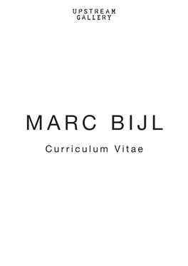 MARC BIJL Curriculum Vitae INFORMATION