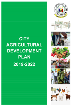 City Agricultural Development Plan 2019-2022