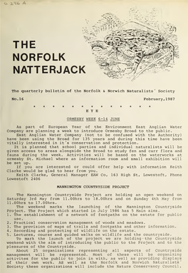 Norfolk Natterjack