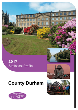 County Durham Profile 2017