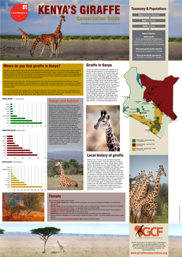 Giraffe in Kenya Range and Habitat Where Do You Find Giraffe in Kenya?