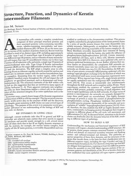 Structure, Function, and Dynamics of Keratin Intermediate Filaments