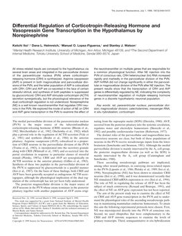 Differential Regulation of Corticotropin-Releasing Hormone and Vasopressin Gene Transcription in the Hypothalamus by Norepinephrine