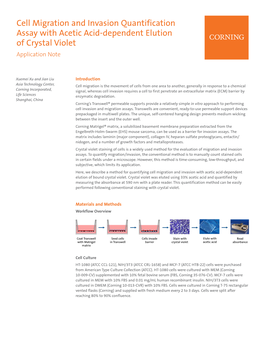 Cell Migration and Invasion Quantification Assay with Acetic Acid-Dependent Elution of Crystal Violet Application Note