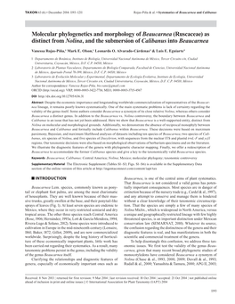 Molecular Phylogenetics and Morphology of Beaucarnea (Ruscaceae) As Distinct from Nolina, and the Submersion of Calibanus Into Beaucarnea