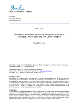 Fibroblastic Reticular Cells During Immune Response in Activated Lymph Node and Gut Lamina Propria