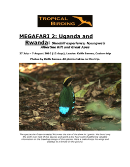 Uganda and Rwanda: Shoebill Experience, Nyungwe’S Albertine Rift and Great Apes