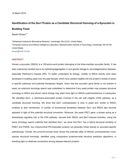 Identification of the Zeo1 Protein As a Candidate Structural Homolog of Α-Synuclein In