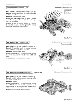 Field Identification Guide to the Living Marine Resources in Kenya