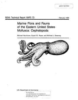 Marine Flora and Fauna of the Eastern United States Mollusca: Cephalopoda