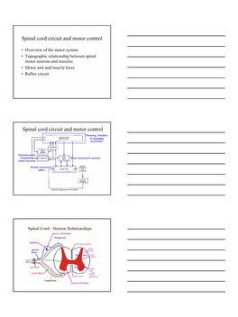 1 Spinal Cord Circuit and Motor Control Spinal Cord Circuit and Motor Control