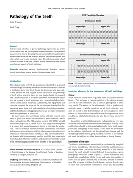 Pathology of the Teeth