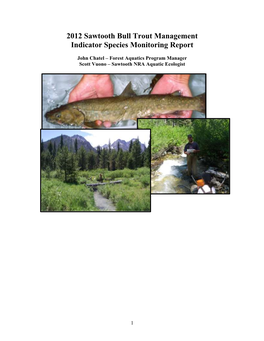 2012 Sawtooth Bull Trout Management Indicator Species Monitoring Report