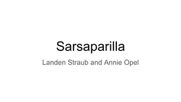 Sarsaparilla Landen Straub and Annie Opel Introduction