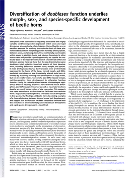 Diversification of Doublesex Function Underlies Morph-, Sex-, and Species