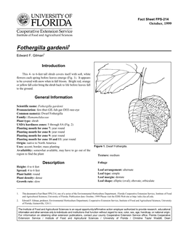 Fothergilla Gardenii1