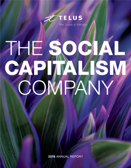 The Social Capitalism Company