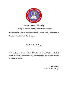 Addis Ababa University