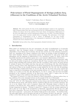 Polyvariance of Floral Organogenesis of Syringa Josikaea Jacq