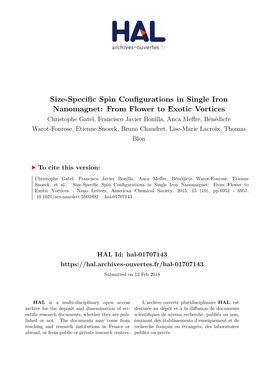 Size-Specific Spin Configurations in Single Iron Nanomagnet