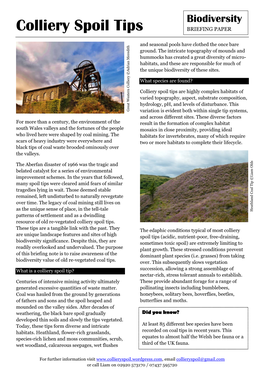 Colliery Spoil Tips BRIEFING PAPER