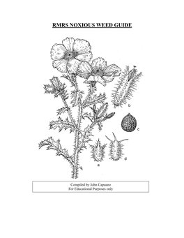 Rmrs Noxious Weed Guide