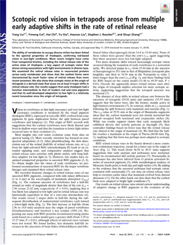 Scotopic Rod Vision in Tetrapods Arose from Multiple Early Adaptive Shifts In