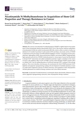 Nicotinamide N-Methyltransferase in Acquisition of Stem Cell Properties and Therapy Resistance in Cancer