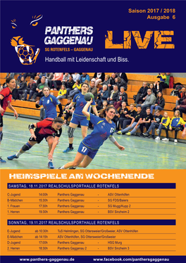 Handball Mit Leidenschaft Und Biss