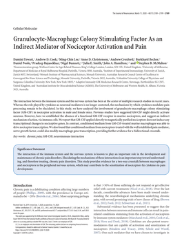 Granulocyte-Macrophage Colony Stimulating Factor As an Indirect Mediator of Nociceptor Activation and Pain