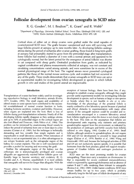 Follicular Development from Ovarian Xenografts in SCID Mice R