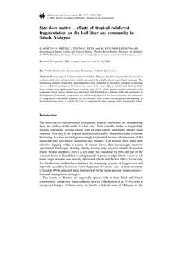 Effects of Tropical Rainforest Fragmentation on the Leaf Litter Ant Community in Sabah, Malaysia