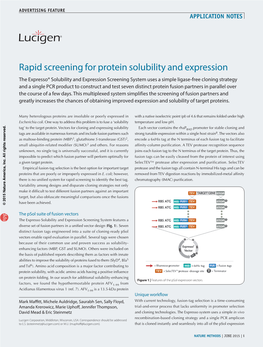 Rapid Screening for Protein Solubility and Expression