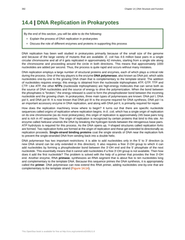 DNA Replication in Prokaryotes