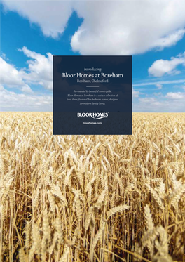 Bloor Homes at Boreham Boreham, Chelmsford