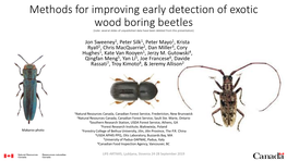 Methods for Improving Early Detection of Exotic Wood Boring Beetles (Note: Several Slides of Unpublished Data Have Been Deleted from This Presentation)