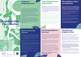 Download the Map & Guide to Brighton's Elm Tree Collection