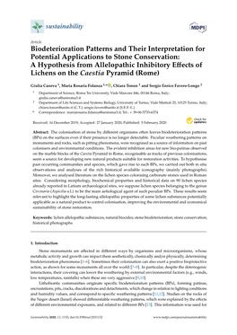 Biodeterioration Patterns and Their Interpretation for Potential