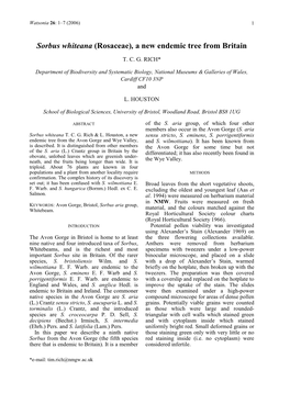 Sorbus Whiteana (Rosaceae), a New Endemic Tree from Britain