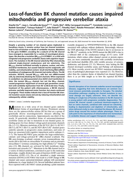 Loss-Of-Function BK Channel Mutation Causes Impaired Mitochondria and Progressive Cerebellar Ataxia