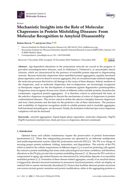 Mechanistic Insights Into the Role of Molecular Chaperones in Protein Misfolding Diseases: from Molecular Recognition to Amyloid Disassembly