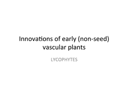 Vascular Plants