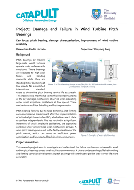 Project: Damage and Failure in Wind Turbine Pitch Bearings