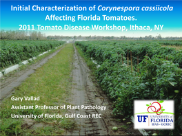 Corynespora Cassiicola Affecting Florida Tomatoes