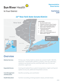 NYS Senate District 23