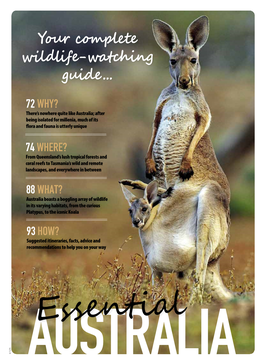Your Complete Wildlife-Watching Guide