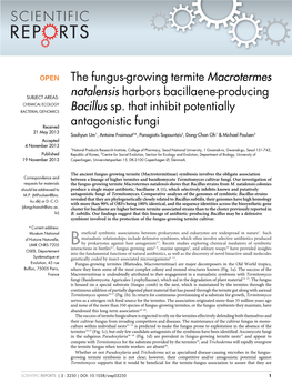 The Fungus-Growing Termite Macrotermes Natalensis Harbors