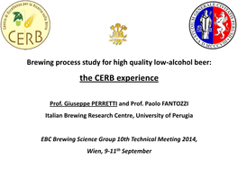 Alcohol Beer: the CERB Experience