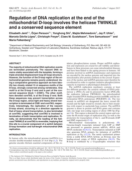 Regulation of DNA Replication at the End of the Mitochondrial D-Loop